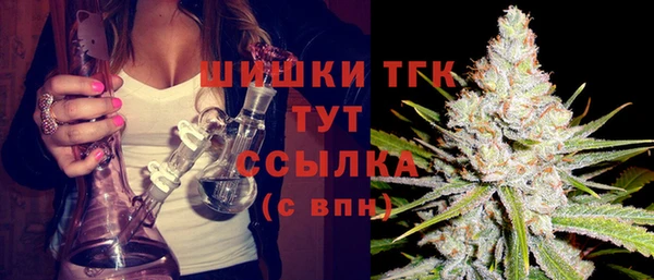 крисы Вязники