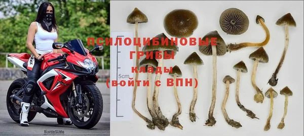 марки lsd Вяземский