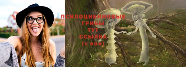 крисы Вязники